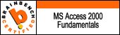 MS Access User